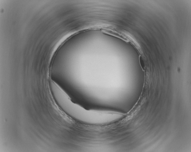 X0000062910948200602031853