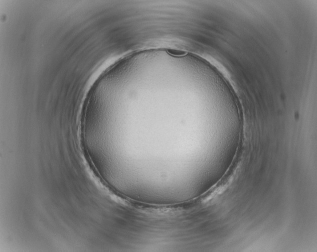 X0000062910949200602031853