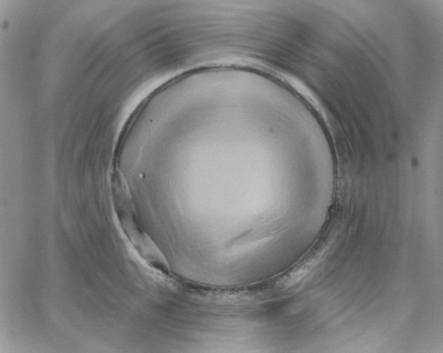 X0000062910951200602031853