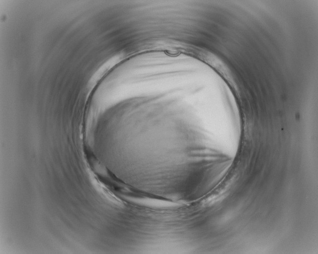 X0000062910954200602031854