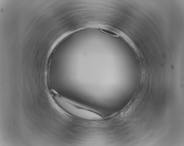 X0000062910955200602031854