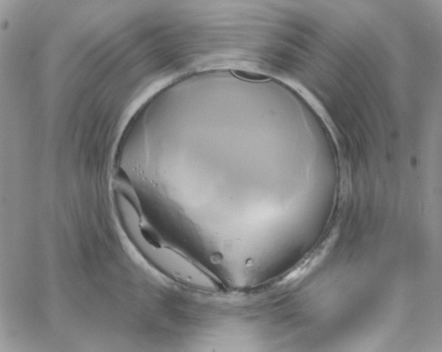 X0000062910957200602031854