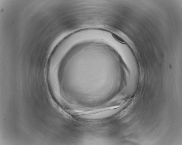 X0000062910958200602031854