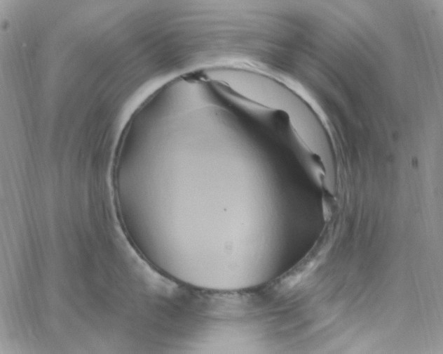 X0000062910959200602031854