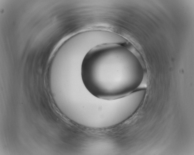 X0000062910960200602031854