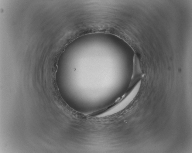 X0000062910961200602031853