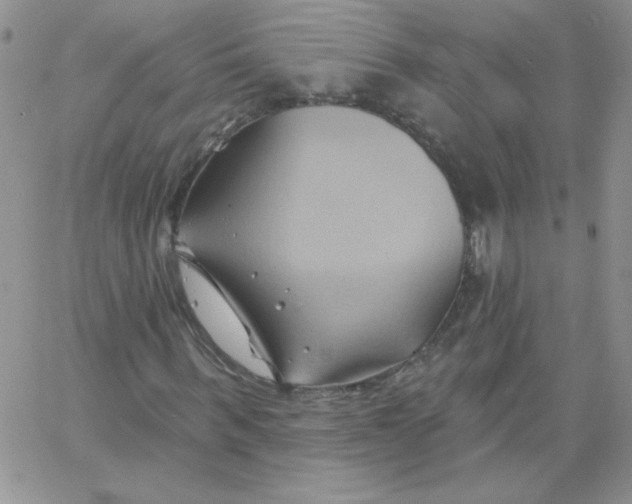 X0000062910963200602031853