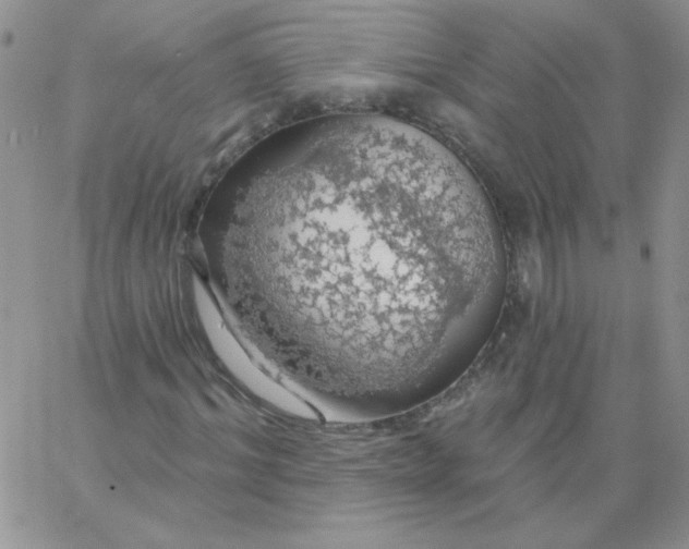 X0000062910964200602031853