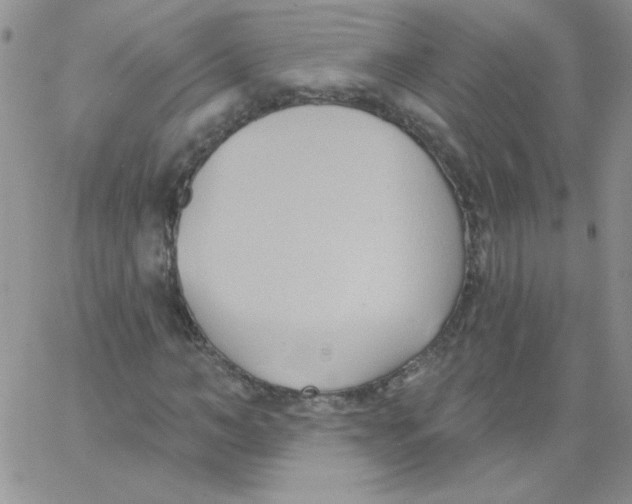 X0000062910966200602031853