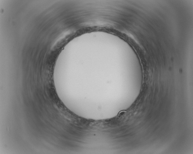 X0000062910967200602031853