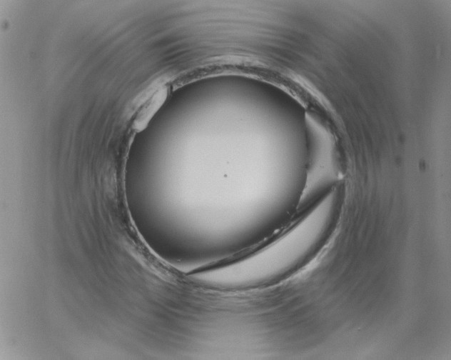 X0000062910969200602031853