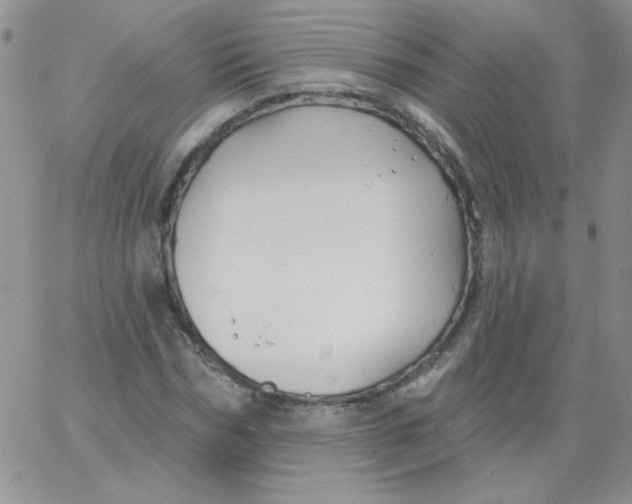 X0000062910970200602031853