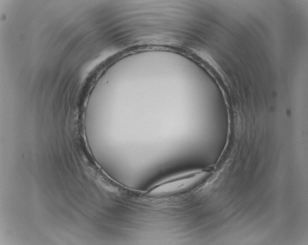 X0000062910971200602031853