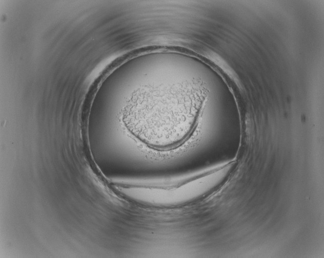 X0000062910972200602031853