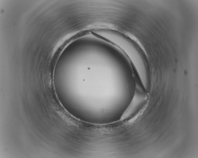 X0000062910973200602031853