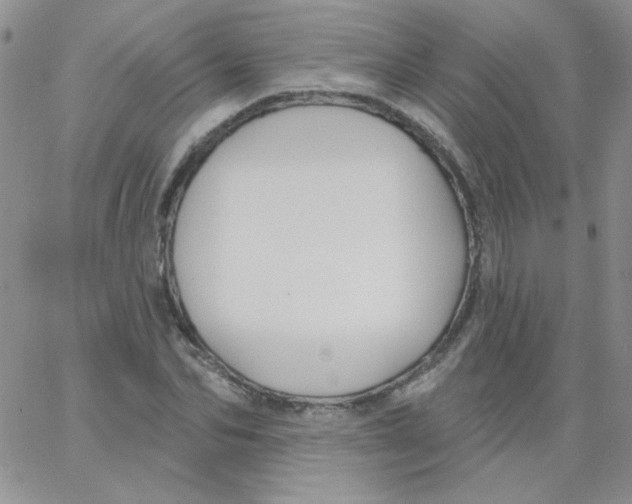 X0000062910974200602031853