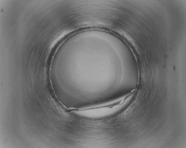 X0000062910975200602031853