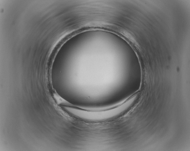 X0000062910976200602031853