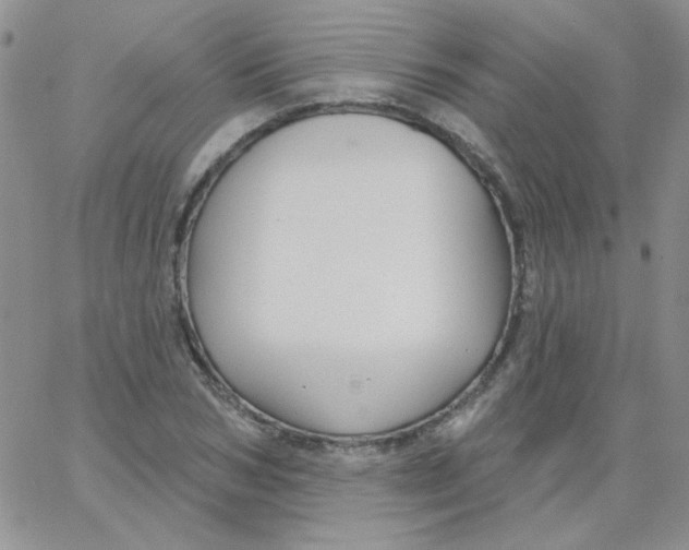 X0000062910978200602031853