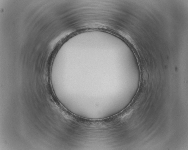 X0000062910979200602031853