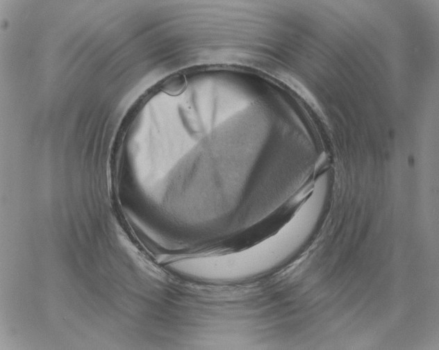 X0000062910980200602031853