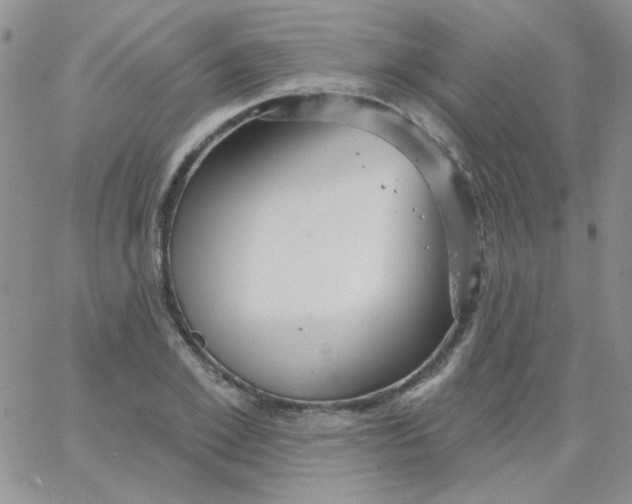 X0000062910981200602031853