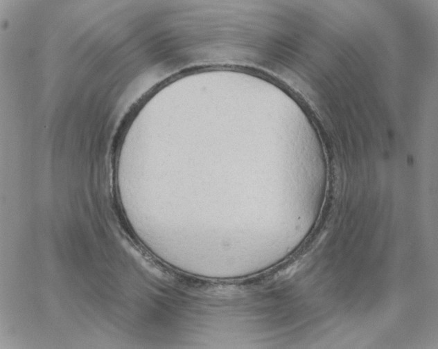 X0000062910982200602031853