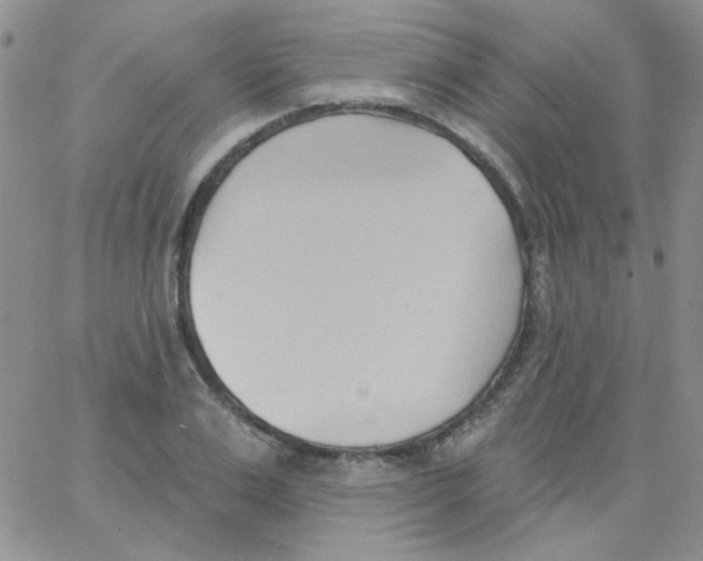 X0000062910983200602031853