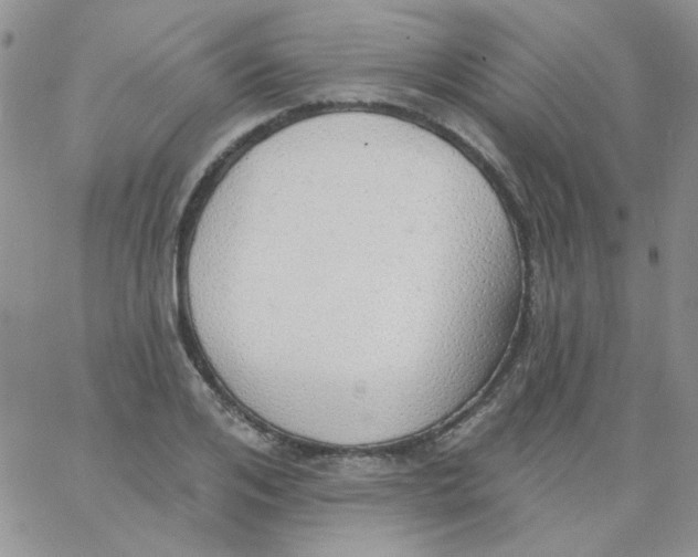 X0000062910984200602031853