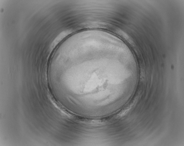 X0000062910986200602031852