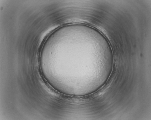 X0000062910987200602031852