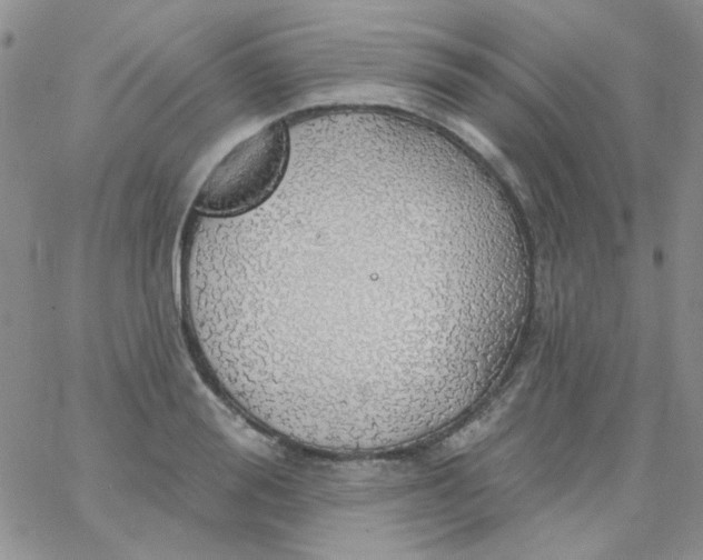 X0000062910988200602031852