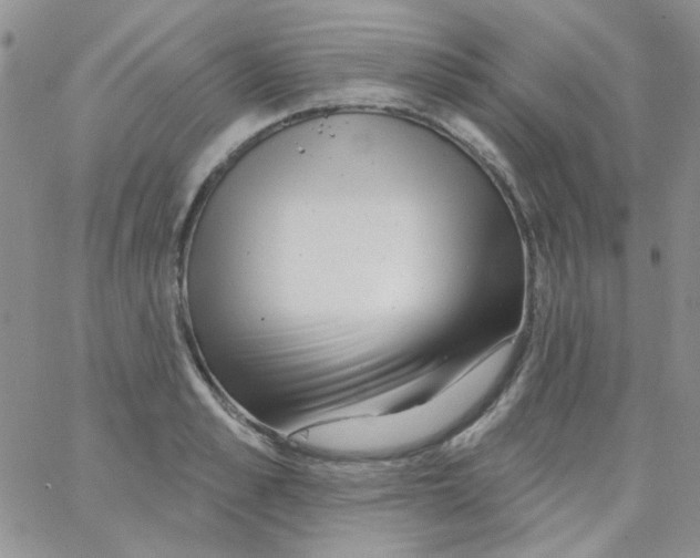 X0000062910989200602031852