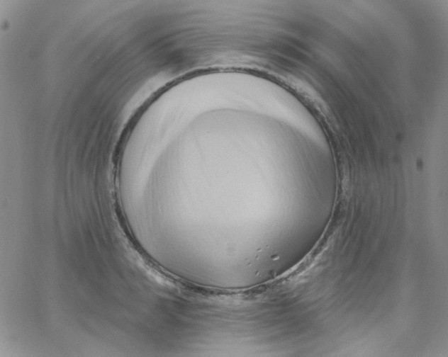 X0000062910990200602031852