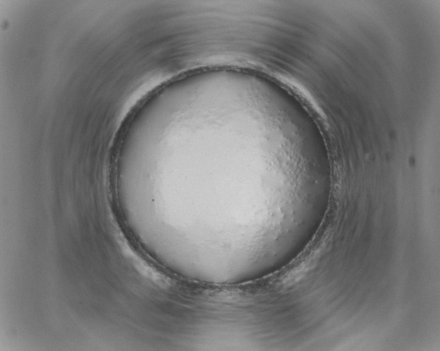 X0000062910991200602031852