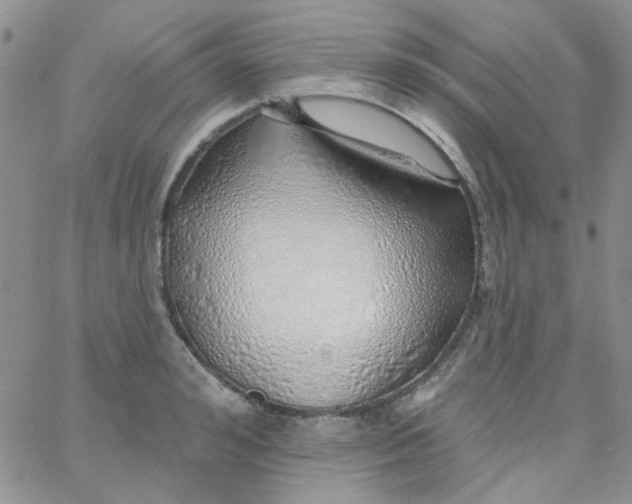 X0000062910992200602031852