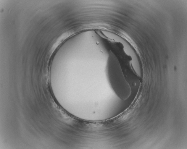 X0000062910994200602031852