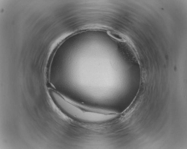 X0000062910995200602031852