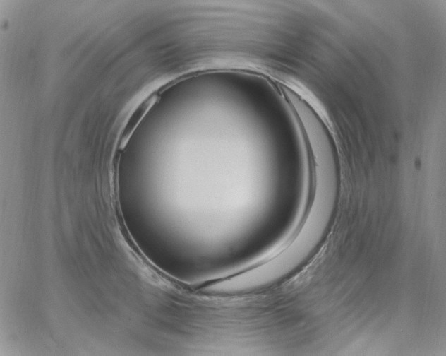 X0000062910996200602031852