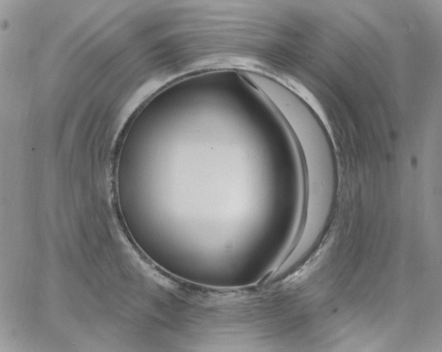 X0000062910997200602031852