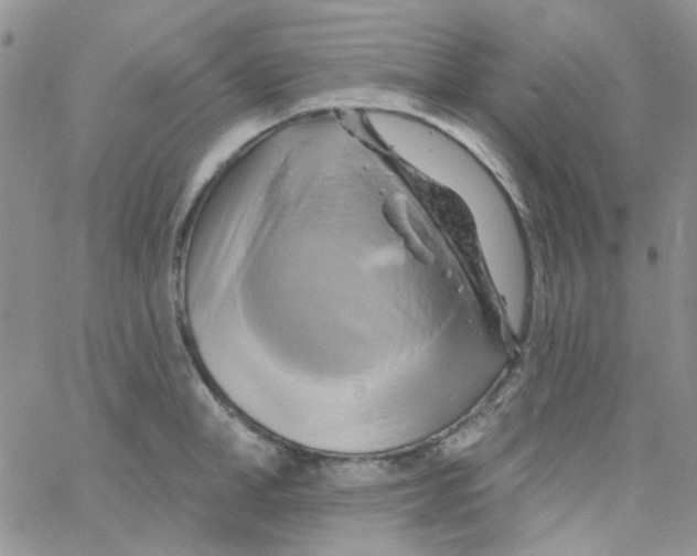 X0000062910998200602031852