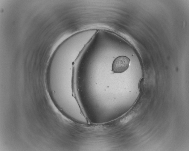 X0000062910999200602031852