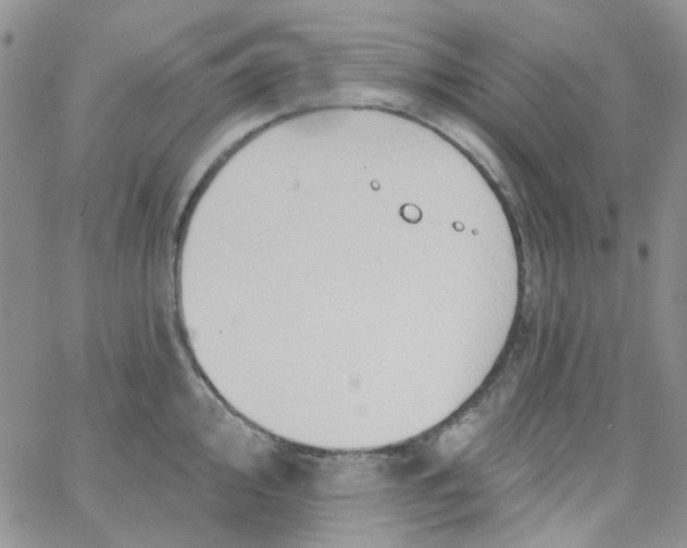 X0000062911000200602031852