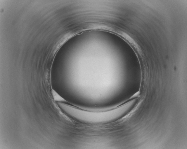 X0000062911001200602031852