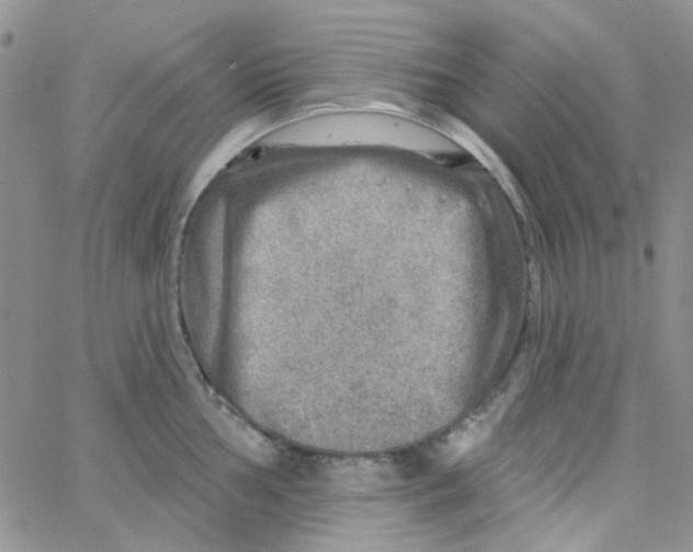 X0000062911002200602031852