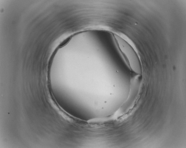 X0000062911005200602031852