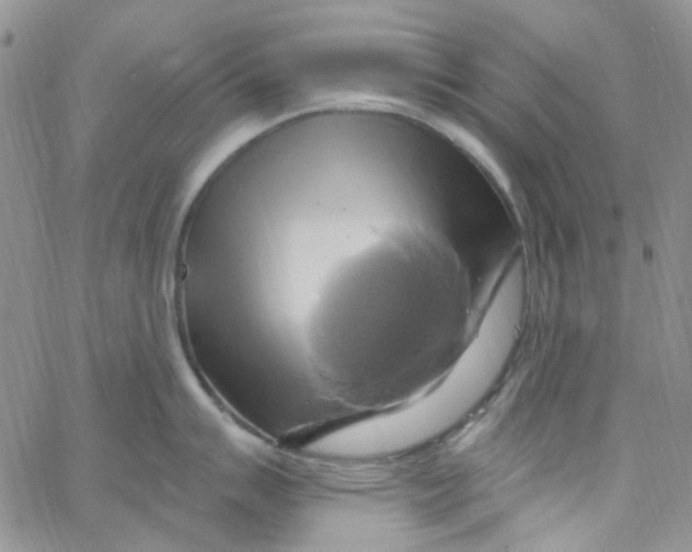 X0000062911007200602031852