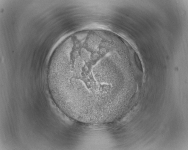 X0000062911008200602031852