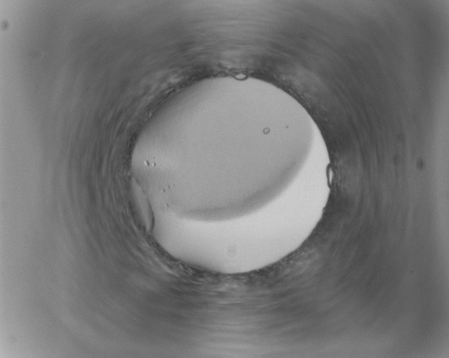 X0000062911009200602031851