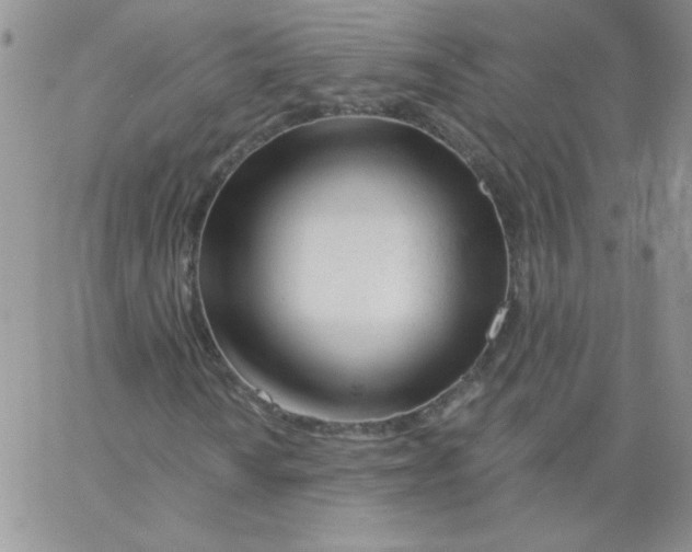 X0000062911010200602031851